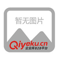 供應(yīng)各類高中檔的賈卡花邊、電腦網(wǎng)眼提花(圖)